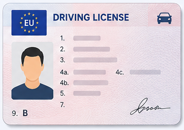 Driving licence document